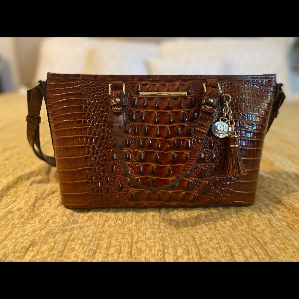 Brahmin Mini Asher